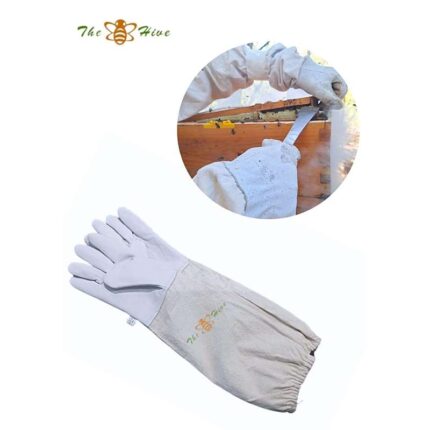 Hand Gloves